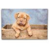 59732 diamond paintings abyu od abyu 0090 m2