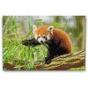 59768 diamond paintings abyu od abyu 0096 m2