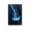 60016 diamond paintings abyu od abyu 0101 m2