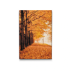 60145 diamond paintings abyu od abyu 0115 m2
