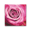 60542 diamond paintings abyu od abyu 0145 m2