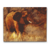 60722 diamond paintings abyu od abyu 0169 m2