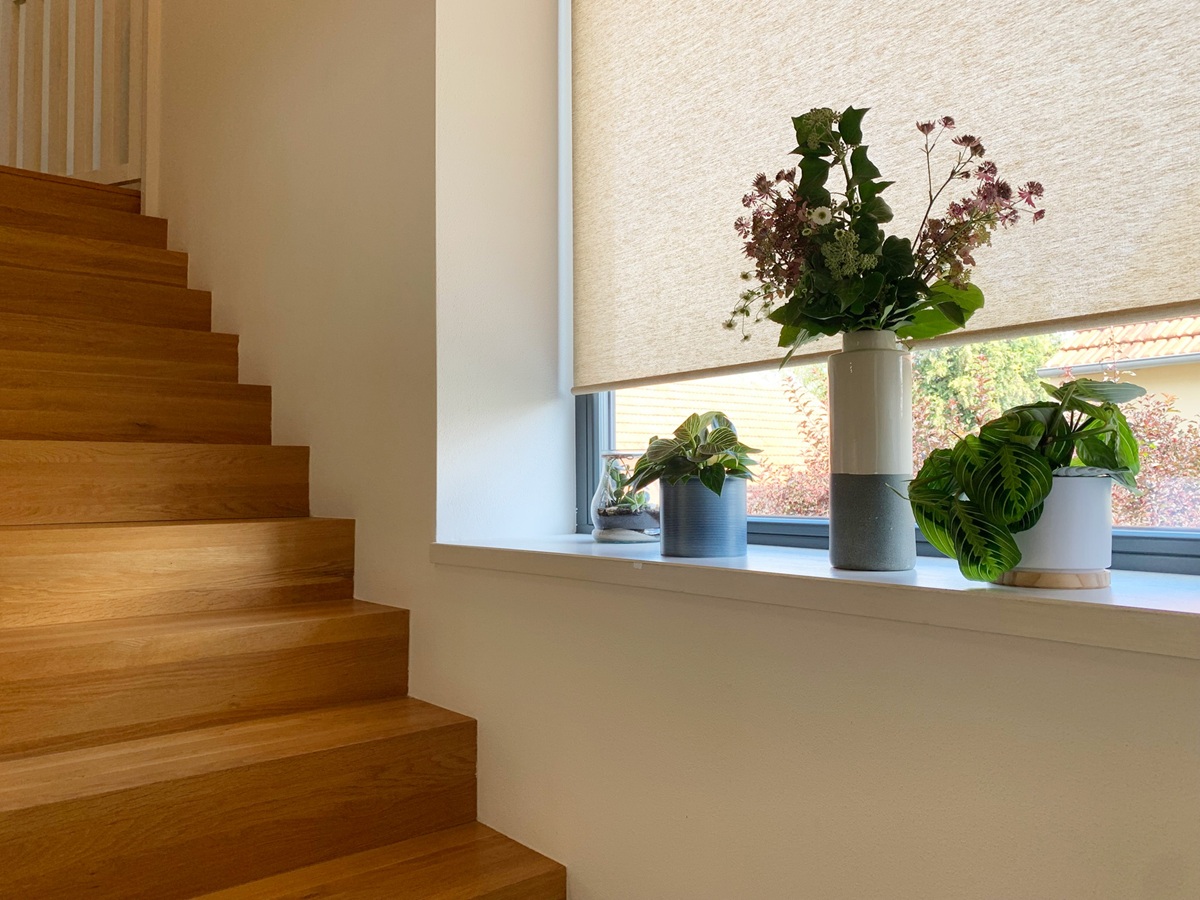 Průhledná, průsvitná nebo zatemňovací roleta: Co od nich čekat v praxi