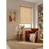Visualization of the FUSION transparent roller blind