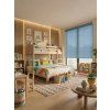 Visualization of the FUSION transparent roller blind