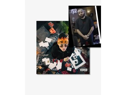 Live Stream Pack Vinyl + Triko