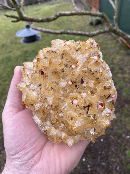 Citrín/Pálený Ametyst drúza