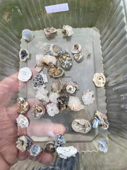 Hadí achát sada 30ks