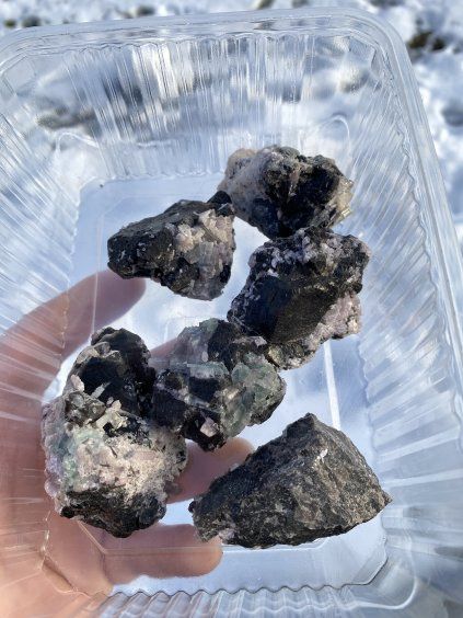 Morin +Turmaííny sada 6ks