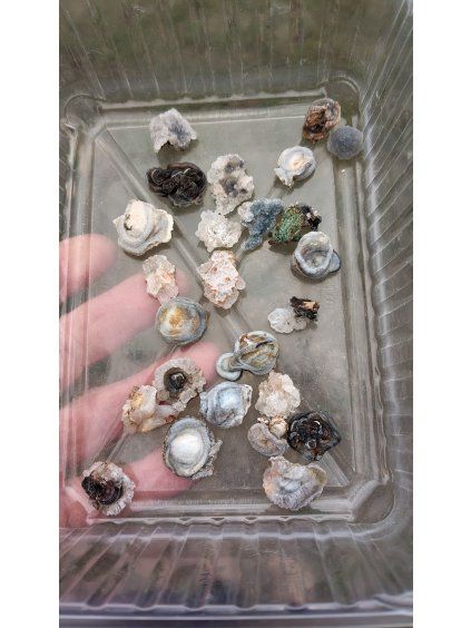 Achát hadí sada 25ks