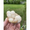 Chalcedon