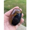 Sardonyx tromlovaný