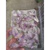 Ametyst hroty z drúz sada 250g