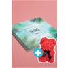 Vánoční set TravelBook - cestovatelský deník + Medvídek