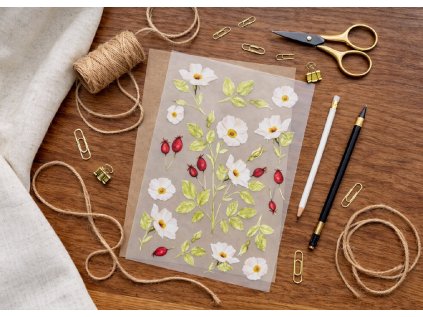 nažehlovačka šípková růže