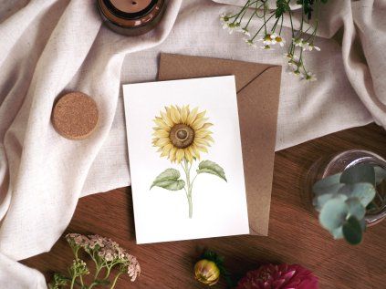 přání slunečnice