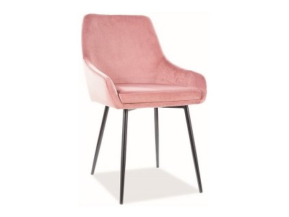 Jídelní židle Albi, růžová / černá (Barva růžová)