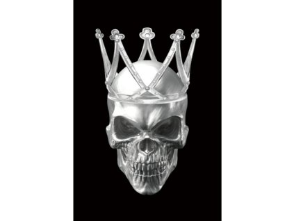 Obraz Skull II 80 x 120 cm, černá / bílá (Barva černá || bílá)