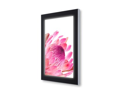 Venkovní informační vitrína s LED osvětlením 70 x 100 cm, černá (Barva černá)