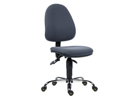 Pracovní židle Panther Antistatic bez područek, šedá (Barva šedá)