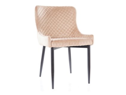 Jídelní židle Colin Velvet, béžová / černá (Barva béžová)