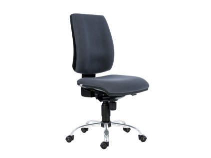 Pracovní židle Sync Antistatic bez područek, šedá (Barva šedá)