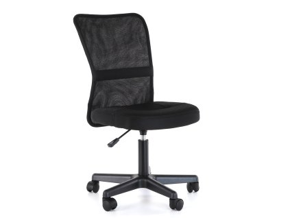 Kancelářská židle Anubis, černá (Barva černá)