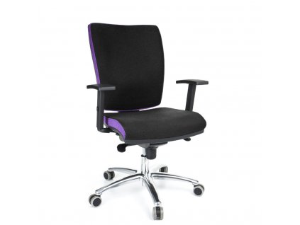 Kancelářská židle MULTISED BZJ 391 S nosnost 150 kg