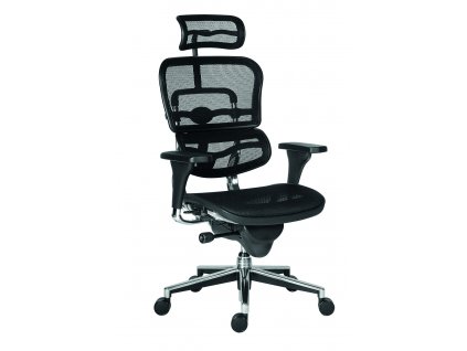 Kancelářská židle ANTARES Ergohuman 2