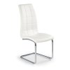Jídelní židle Genesis, bílá / stříbrná (Barva bílá)