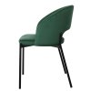 Jídelní židle Rao, zelená / černá (Barva zelená)