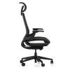 Kancelářská židle Embrace, černá (Barva černá || šedá)