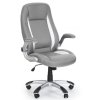 Kancelářské křeslo Saturn, šedá / bílá (Barva šedá)