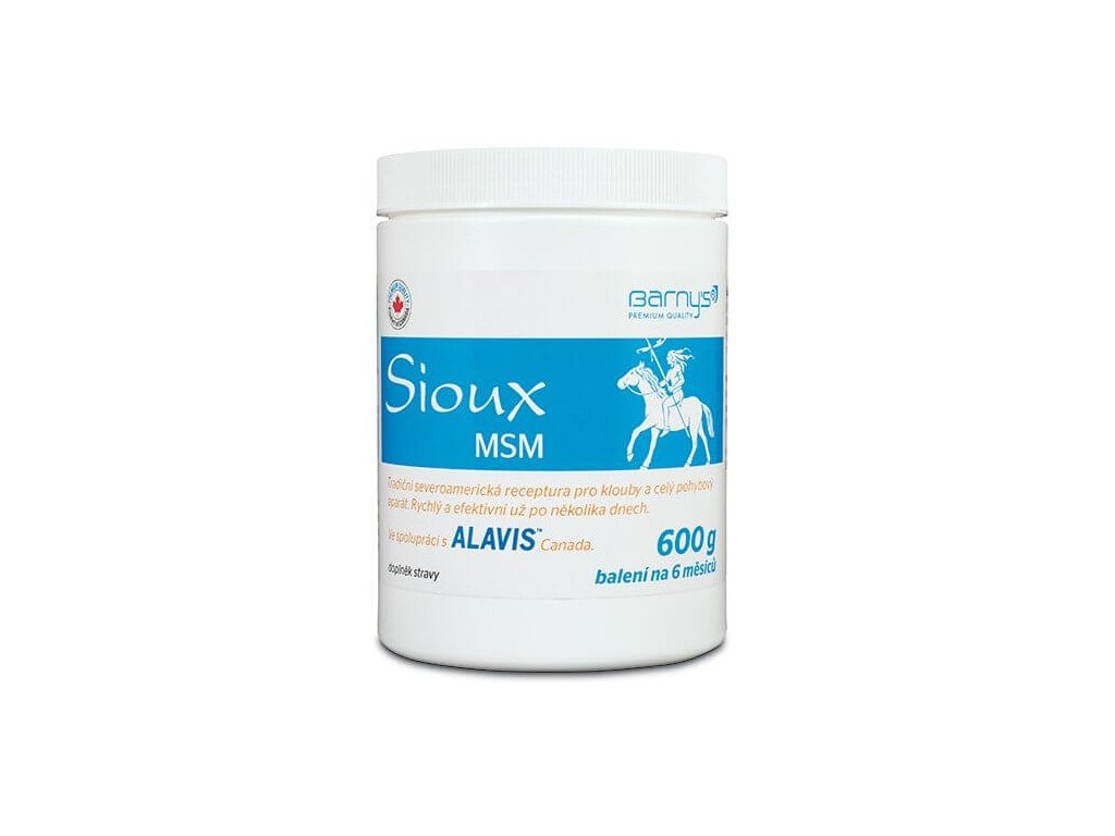 2988 1 barny s sioux msm 600 g