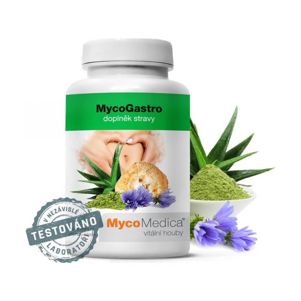 MycoMedica MycoGastro prášek 90 g