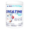allnutrition creatine muscle max 500 g
