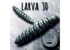 Larva 30