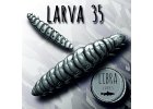 Larva 35