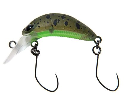 Nories rice 30 347m kokedama