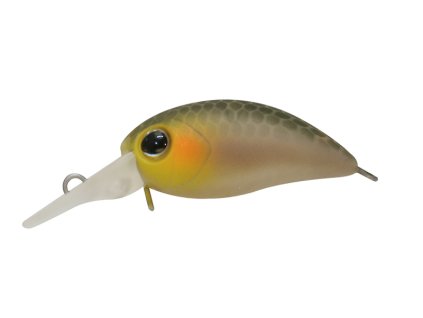 Timon Chibi Panicra Shizuoka Bizin