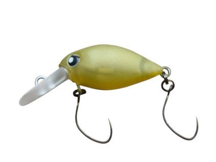 RC Moca Fat Jr DR 31