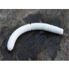Gumová nástraha Fatty D'Worm 65 - 001 White (Sýr) 6,5cm 10ks