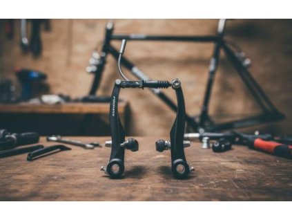 1759221068 11e08c28 b7d6 4d70 ad8b 5043f4cd0246