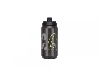 flasa ctm demig dymova1