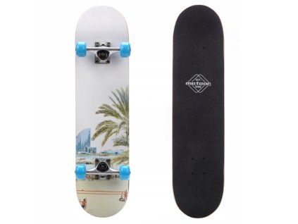 skateboard meteor beach3