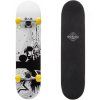 skateboard meteor stars1