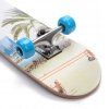 skateboard meteor beach2