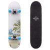 skateboard meteor beach3