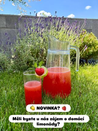 🍓 Přemýšlíme, že bychom naši nabídku rozšířili o domácí limonády. Měli byste o ně zájem? 🥤 A jaká příchuť by u vás...
