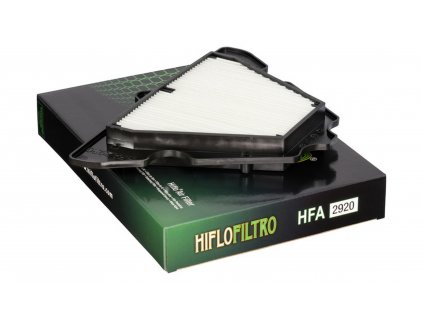 Vzduchový filter HFA2920, HIFLOFILTRO